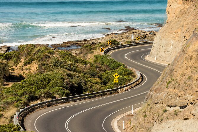 Great Ocean Road Coastal Spectcular with Wildlife Wonders - Reverse-Direction Great Ocean Road: The crowd-management strategy that actually works