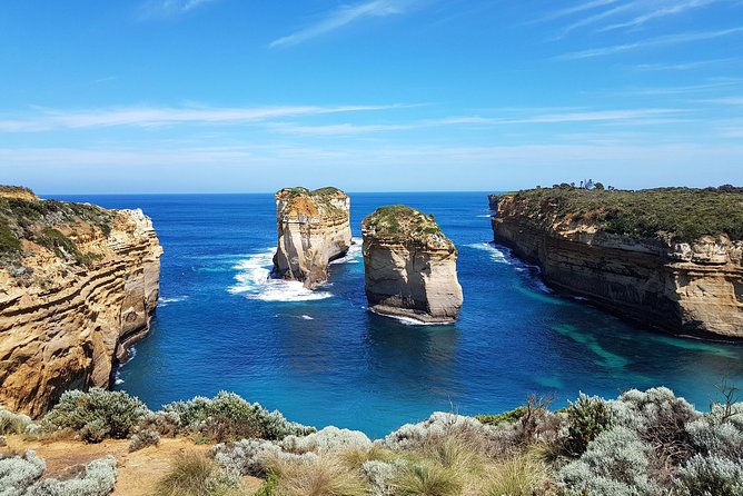 Great Ocean Road Coastal Spectcular with Wildlife Wonders - Anglesea kangaroos: Quick wildlife odds at a golf-course setting