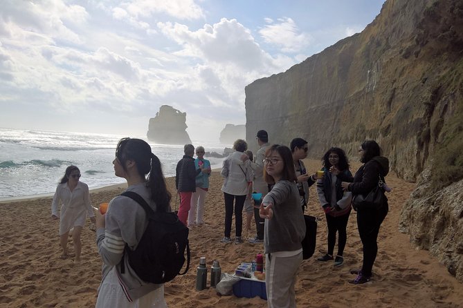 Great Ocean Road Full Day Private Experience - Private Melbourne Pickup, Torquay to Port Campbell: how the day flows