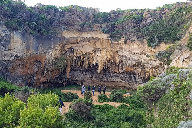 Great Ocean Road Full Day Private Experience - Wildlife spotting for koalas and kangaroos without rushing