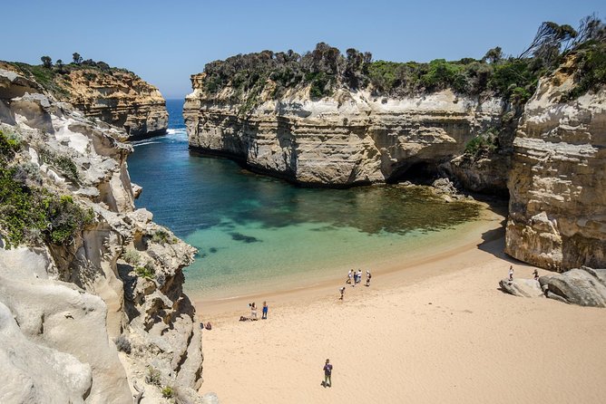 Great Ocean Road Grampians 2 Day Overnight Tour from Melbourne - Great Otway National Park: the guided rainforest walk you’ll feel in your lungs