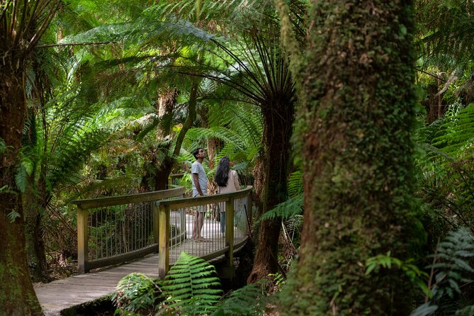 Great Ocean Road Grampians 2 Day Tour from Melbourne to Adelaide - Getting oriented: meet at Immigration Museum and start on time
