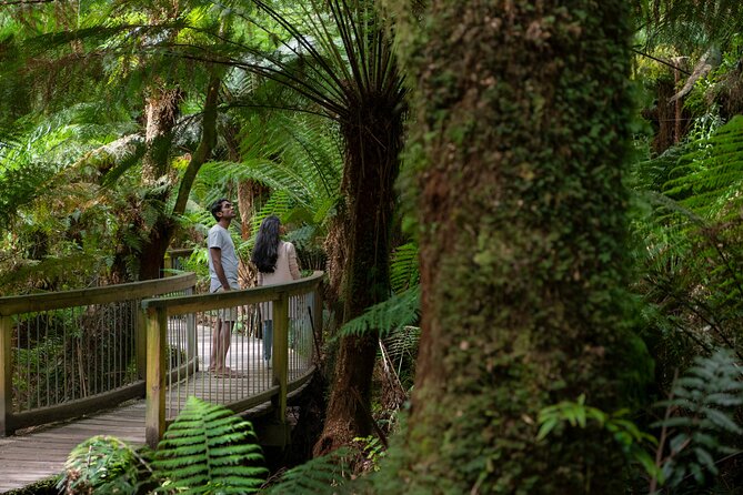 Great Ocean Road Grampians 3 Day National Park Tour Melbourne Roundtrip - Key things I’d watch for (before you book)