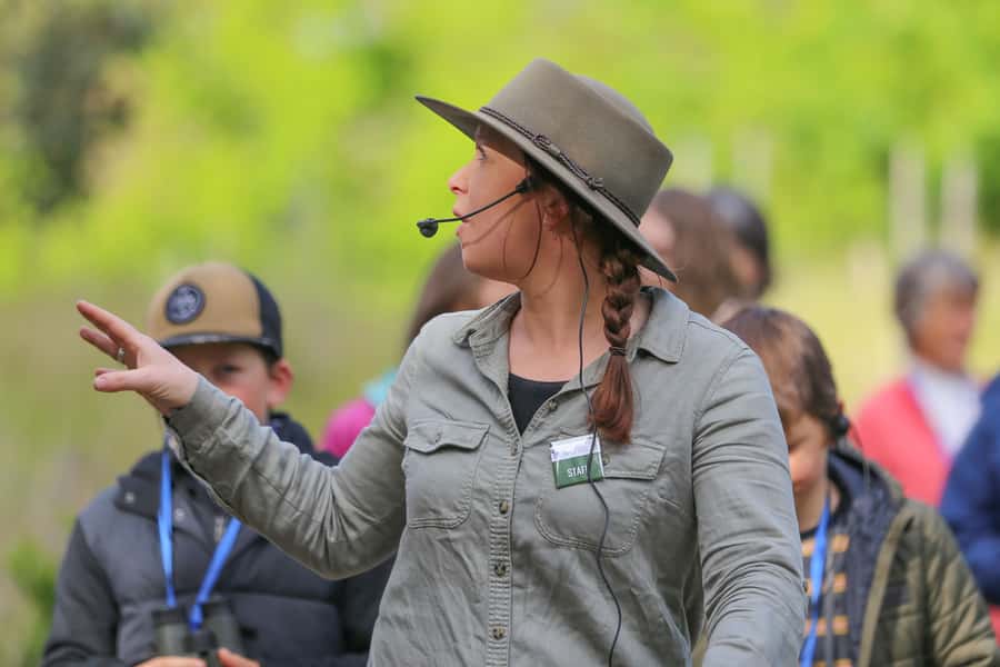 Great Ocean Road: Guided Wildlife Walk that Supports Nature - Key highlights worth your time