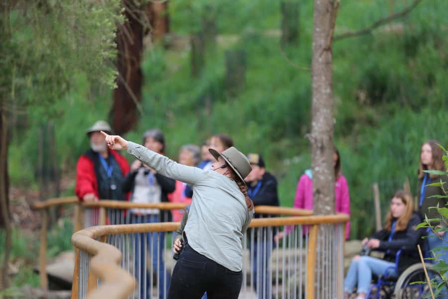 Great Ocean Road: Guided Wildlife Walk that Supports Nature - Otways Bushland in 75 Minutes: What the Experience Feels Like