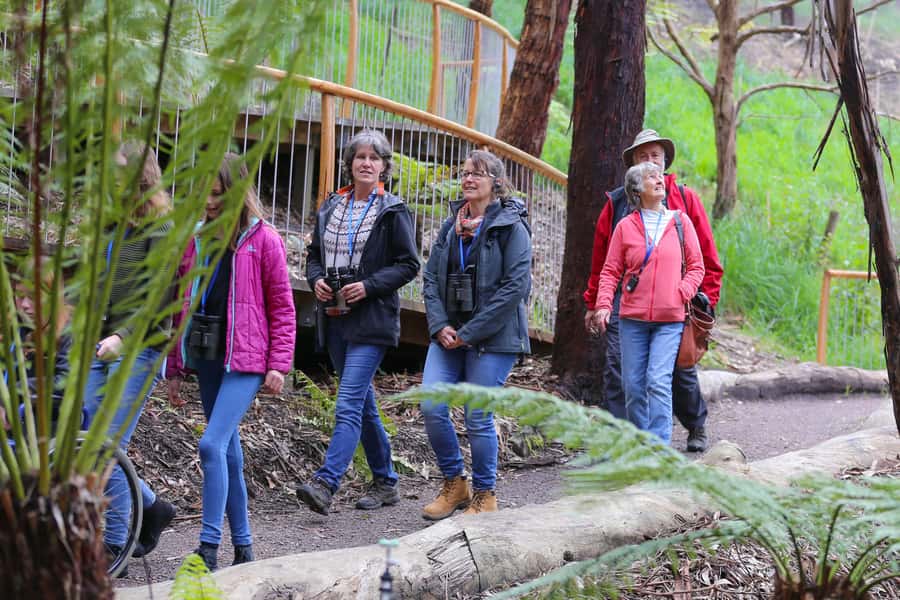Great Ocean Road: Guided Wildlife Walk that Supports Nature - Conservation Ecology Centre Research Hub: Where Real Work Happens