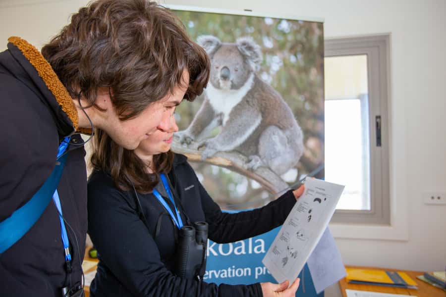 Great Ocean Road: Guided Wildlife Walk that Supports Nature - Refreshments After the Walk: Cafe Time That Doesn’t Drag