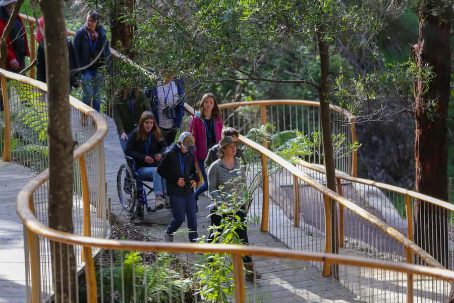 Great Ocean Road: Guided Wildlife Walk that Supports Nature - Who This Tour Suits Best (and Who Might Prefer Something Else)