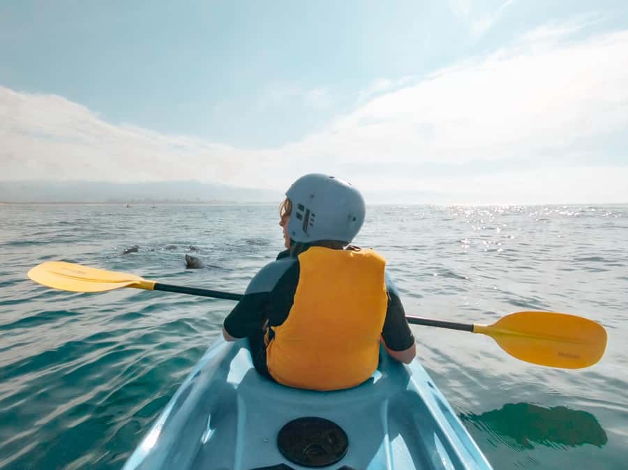 Great Ocean Road: Kayaking with Seals Tour - Where Marengo Reef fits into the Great Ocean Road story