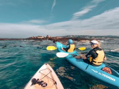 Great Ocean Road: Kayaking with Seals Tour - The safety briefing that actually changes how you paddle