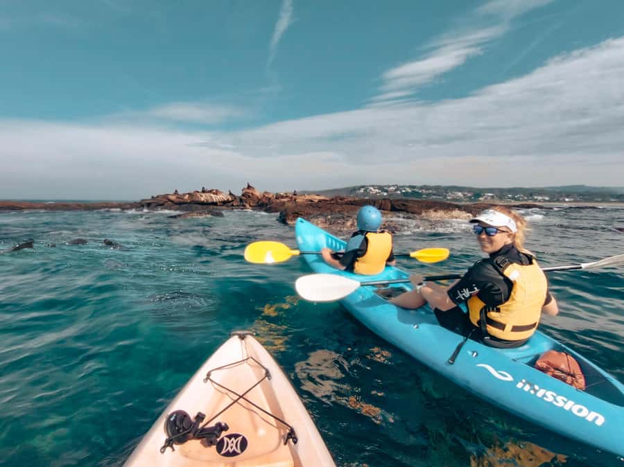 Great Ocean Road: Kayaking with Seals Tour - The safety briefing that actually changes how you paddle