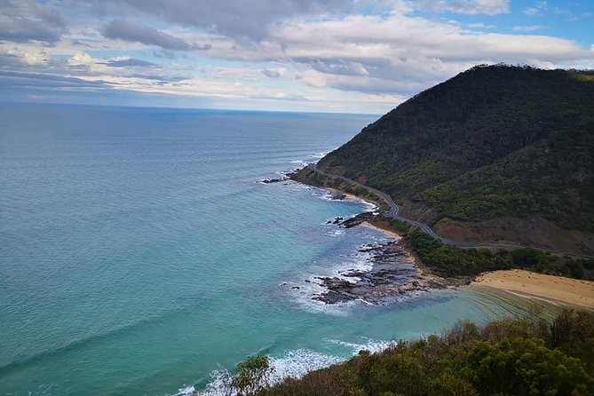 Great Ocean Road Medium Size Group Tour - Wildlife and rainforest walk time: chasing the chances, not guarantees