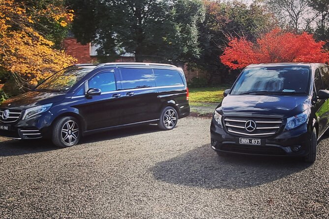 Great Ocean Road Private Luxury Tour - Melbourne Pickup and the Comfort Factor You’ll Notice Fast