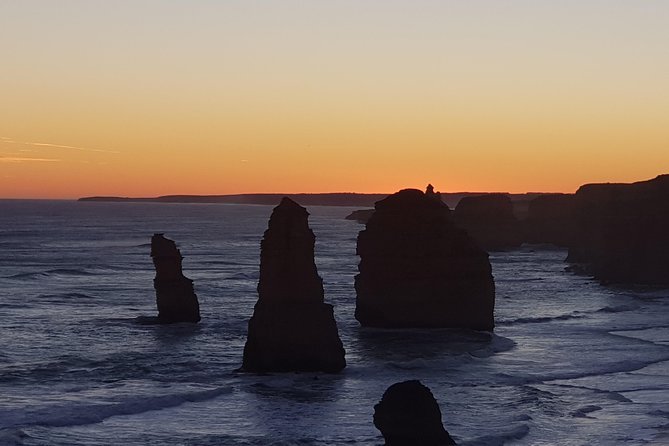 Great Ocean Road Private Luxury Tour - Melba Gully Rainforest Walk: Where the Day Changes Gear