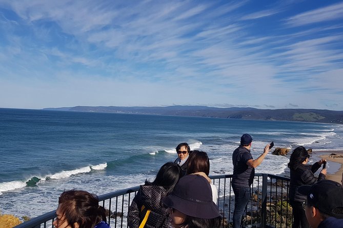 Great Ocean Road Private Luxury Tour - Split Point Lighthouse and Great Otway National Park