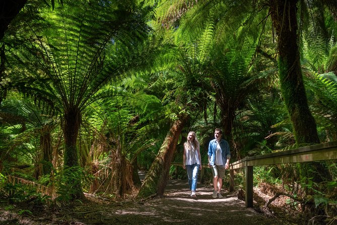 Great Ocean Road Private Tour - Great Ocean Road Private Tour from Melbourne: the feel of the day