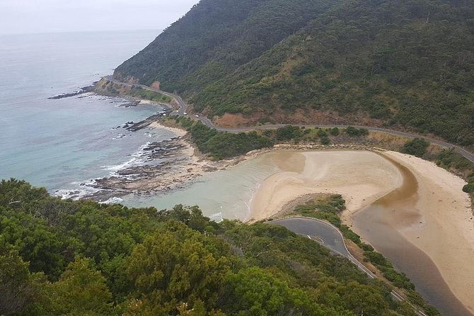 Great Ocean Road Private Tour - Mait’s Rest rainforest walk and Kennett River koalas