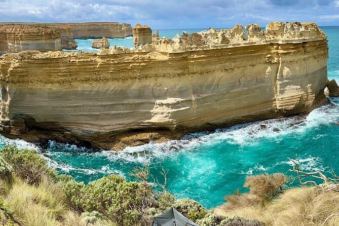 Great Ocean Road Reverse Itinerary Boutique Tour - Max 11 Guests - Great Otway National Park: Mait’s Rest rainforest walk, plus big-tree drives