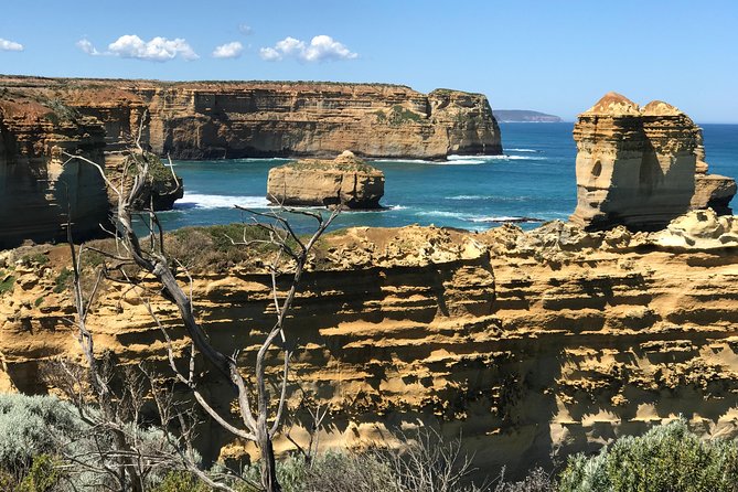 Great Ocean Road Reverse Itinerary Boutique Tour - Max 11 Guests - Apollo Bay lunch plus Kennet River wildlife: the best break and the best chance to see koalas