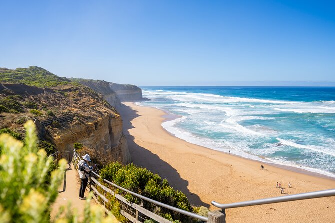 Great Ocean Road Reverse Itinerary Boutique Tour - Max 11 Guests - Teddy’s Lookout and the drive back: finish with cliff views, then let someone else drive