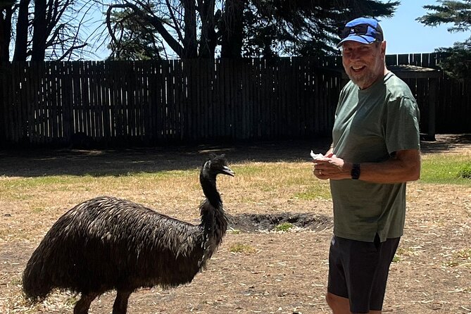 Great Ocean Road Small Group Tour with Dingos, Sparkling & Lunch - Apollo Bay and a calmer stretch of the coast