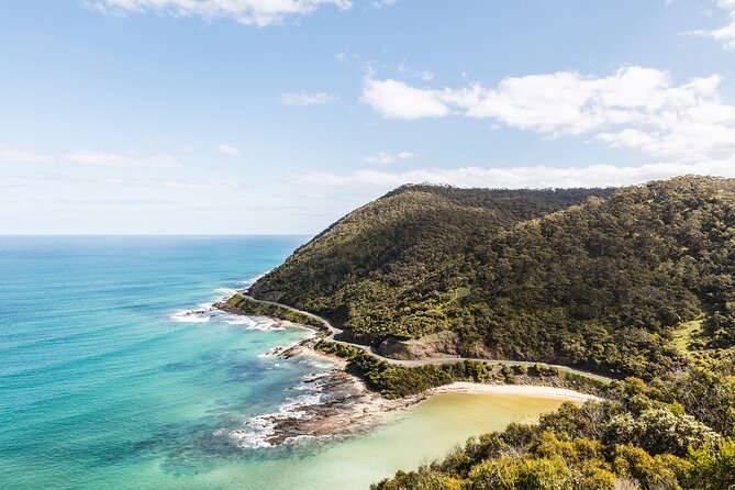 Great Ocean Road Small Group Tour with Dingos, Sparkling & Lunch - Wildlife park and dingoes: conservation-first encounters
