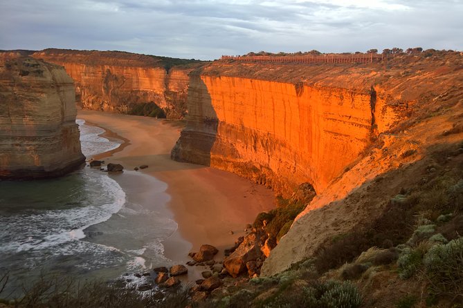 Great Ocean Road Sunset Private Experience - Wildlife on the Coast Road: Koalas, Kangaroos, and Bird Encounters