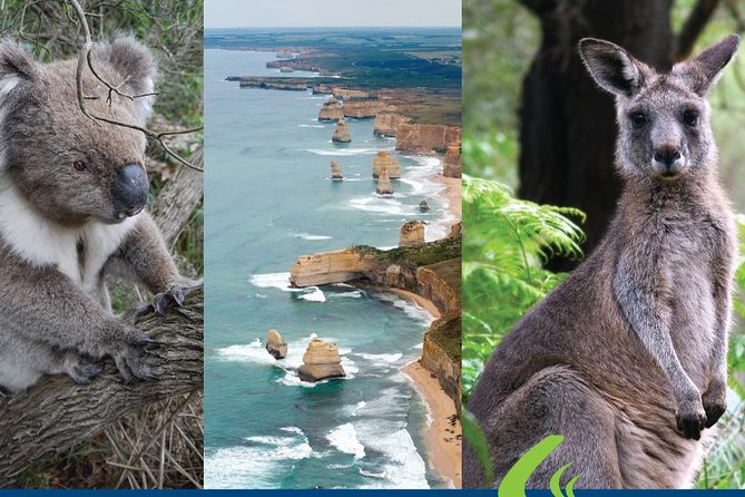 Great Ocean Road Ultimate Two Day Tour - Who this Great Ocean Road tour suits best (and who might rethink it)