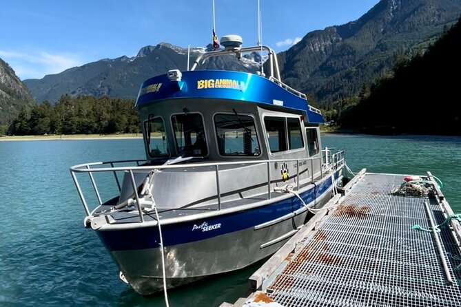 Grizzly Bear Expedition - Price and Value: What $626.21 Buys You Here
