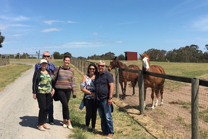 Half Day Living Legends tour with Devonshire Tea - Price and time: what $136.28 gets you in real-world terms