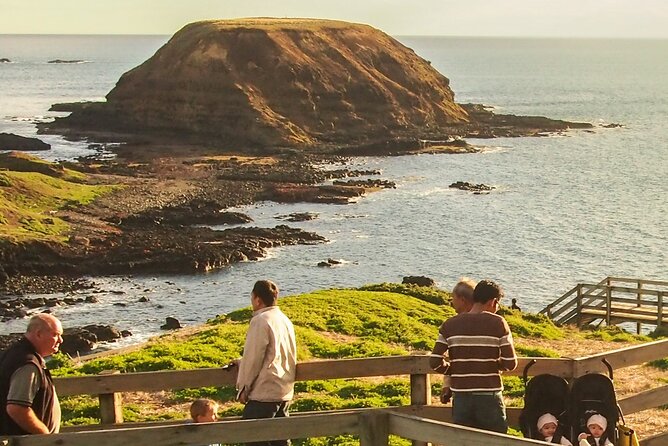 Healesville Sanctuary And Phillip Island Wildlife Bus Tour - On-board comfort: air-conditioning, Wi‑Fi, and the long-day rhythm