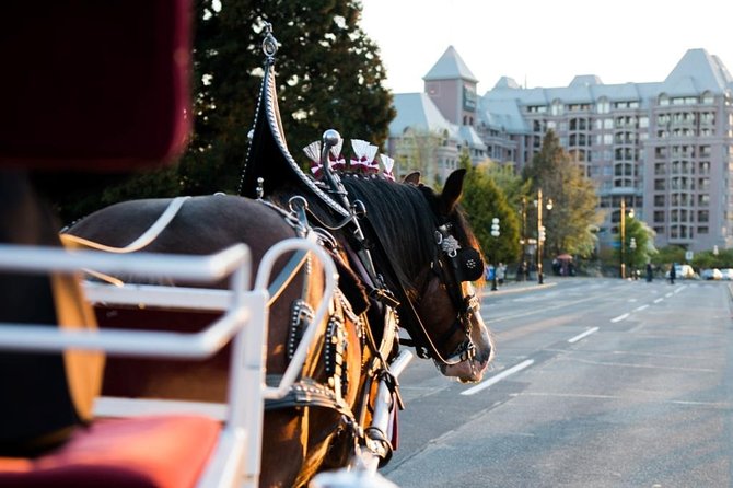 Heritage Horse-Drawn Carriage Experience in Victoria - Key things to know before you go