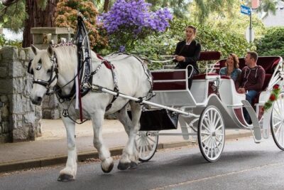 Heritage Horse-Drawn Carriage Experience in Victoria - Stops on the route: Legislative Assembly, Old Town, and Carr House