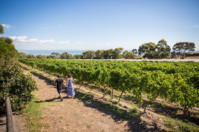 Hop On Hop Off Bellarine Bellarine Peninsula - Who this tour suits best (and who should skip it)