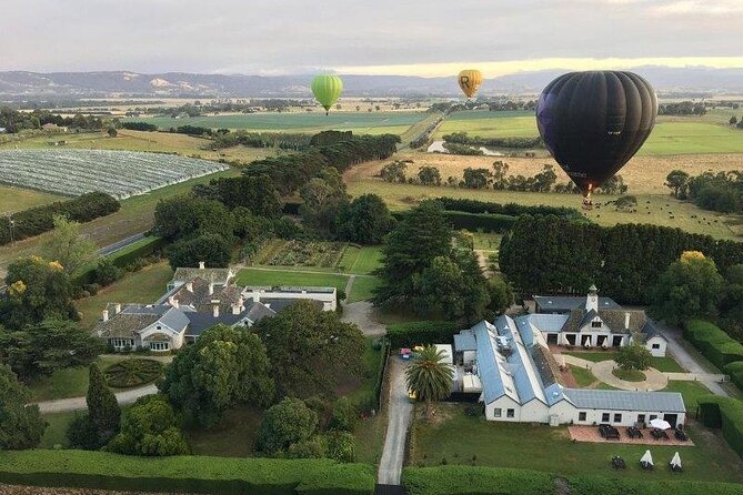 Hot Air Balloon Flight over the Yarra Valley - Key highlights I’d put on your radar