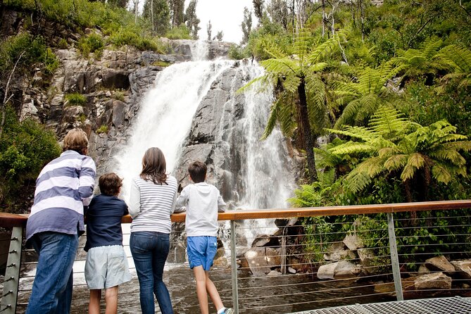 Lake Mountain Snow Trip including Yarra Valley Chocolaterie from Melbourne - Who this tour fits best (and who should skip it)