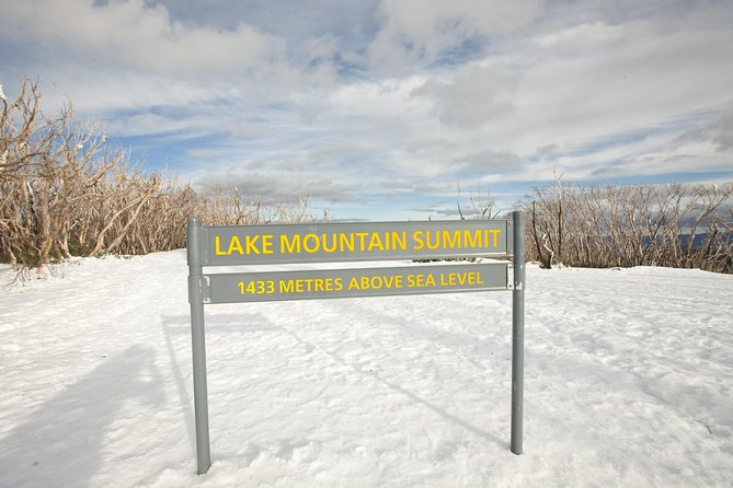 Lake Mountain Snow Trip including Yarra Valley Chocolaterie from Melbourne - Should you book the Lake Mountain Snow Trip with Yarra Valley Chocolaterie?
