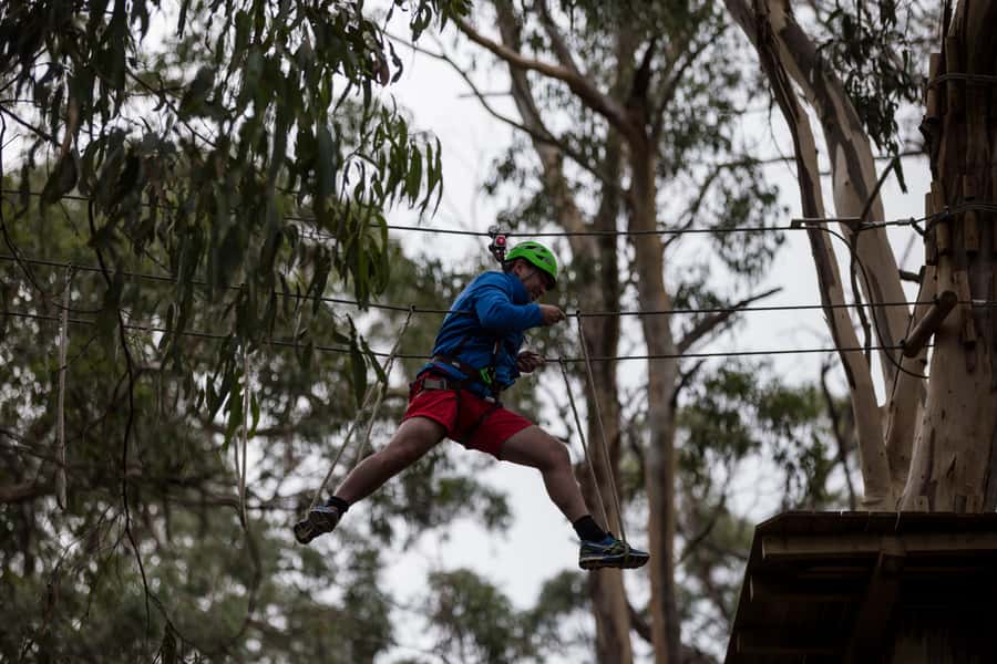 Lorne: Live Wire Park Super Circuit Ticket - Live Wire Park Super Circuit: what you’re paying for