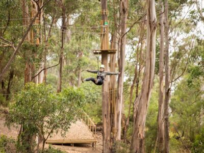 Lorne: Live Wire Park Super Circuit Ticket - The 2-hour flow: how the Super Circuit plays in real time