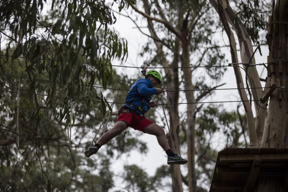 Lorne: Live Wire Park Super Circuit Ticket - Lorne day planning: getting the best use from your time