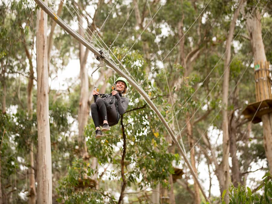 Lorne: Live Wire Park Ticket with Zip Line Rollercoaster - Key highlights at a glance