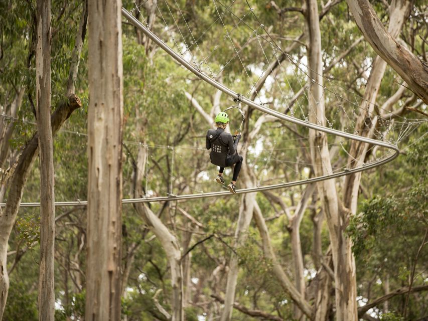 Lorne: Live Wire Park Ticket with Zip Line Rollercoaster - Practical tips for a smoother, better ride