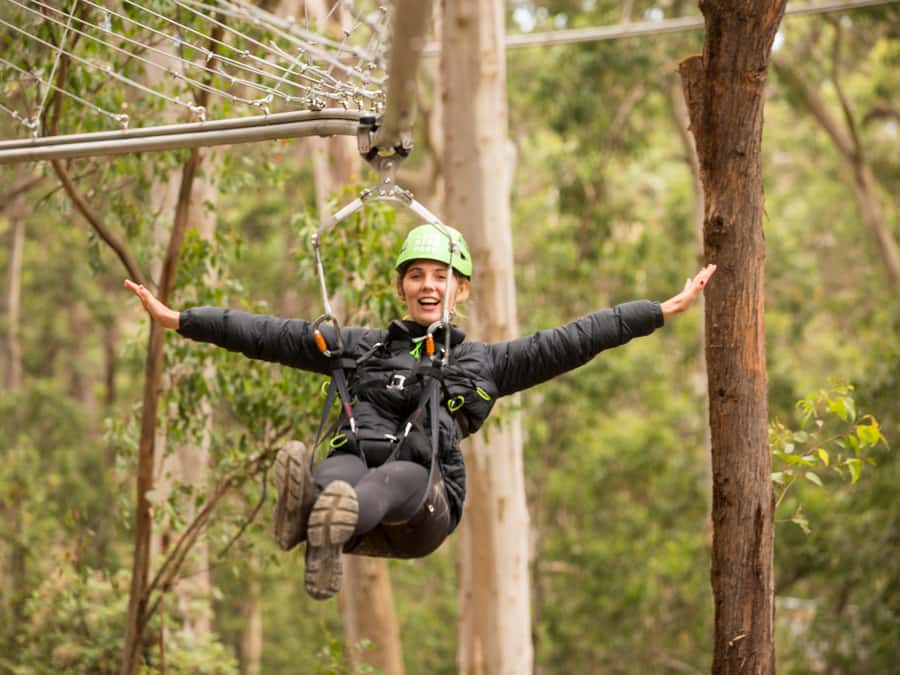 Lorne: Live Wire Park Ticket with Zip Line Rollercoaster - Shockwave ZipCoaster: 525 meters of gravity-powered fun