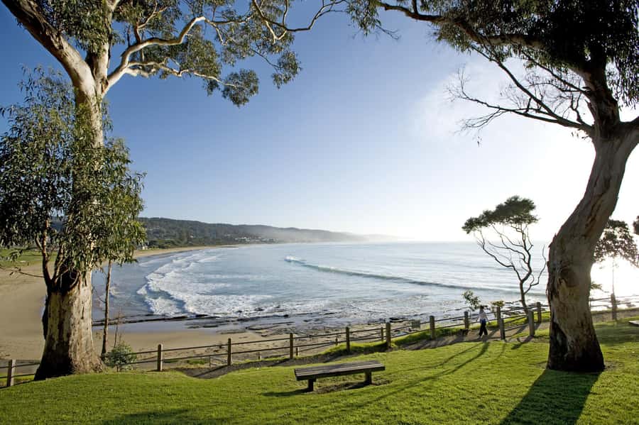 Luxe Bus Great Ocean Road Coastal Spectacular - Should you book the Luxe Bus Great Ocean Road Coastal Spectacular?