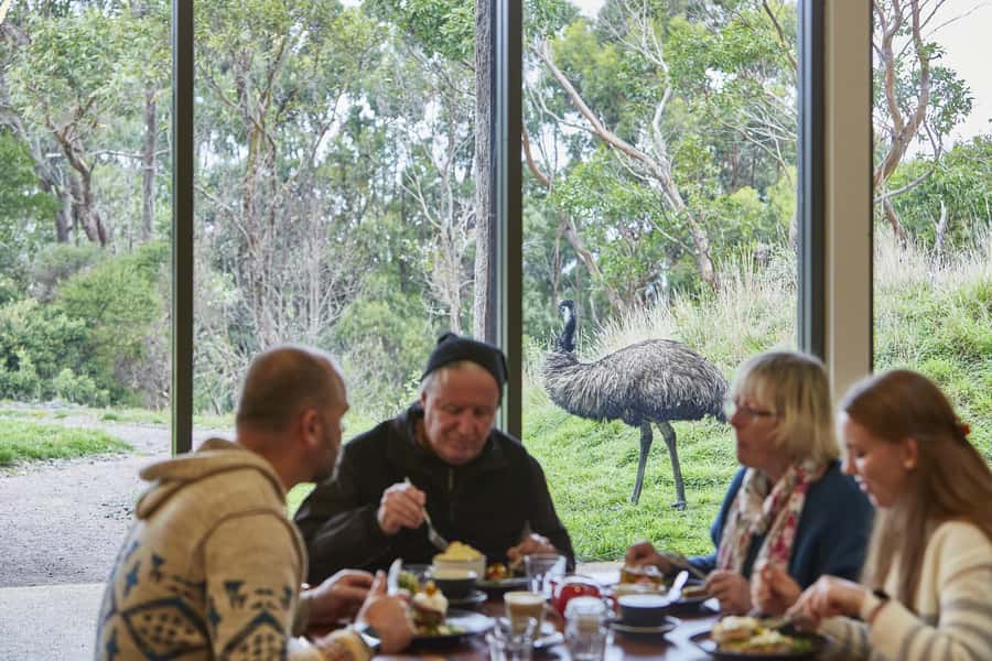 Luxe Bus Great Ocean Road Coastal Spectacular - Luxe Bus comfort: small-group touring with the right perks