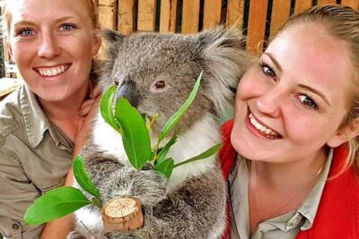 Luxury Phillip Island Tour for Families & Explorers [up to 10Pax] - Moonlit Sanctuary: kangaroos, koalas, and the “close-up” factor