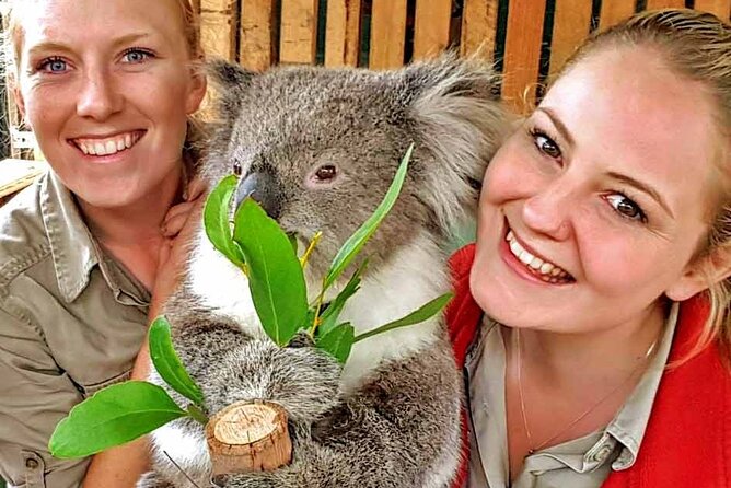 Luxury Phillip Island Tour for Families & Explorers [up to 10Pax] - Moonlit Sanctuary: kangaroos, koalas, and the “close-up” factor