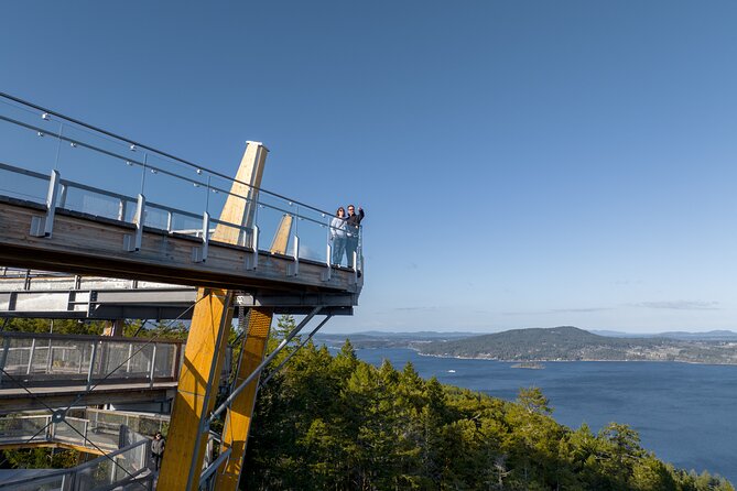 Malahat SkyWalk Tickets - Arriving at Malahat SkyWalk: the forest approach sets the tone