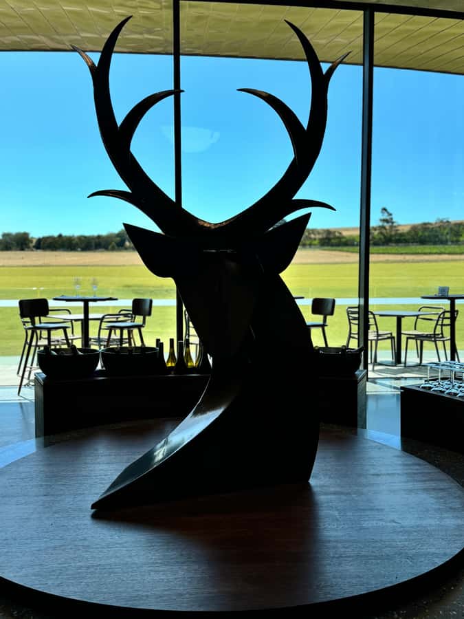 MEL: Private Yarra Valley Wine & Healesville Sanctuary Tours - Why this Yarra Valley private tour feels different than a basic wine run