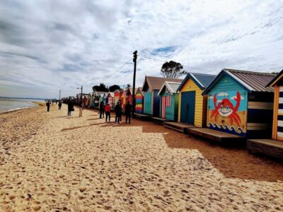 Melbourne 3-Hour Small Group Tour with Beach Boxes - Getting started with hotel pickup, then easing into the route